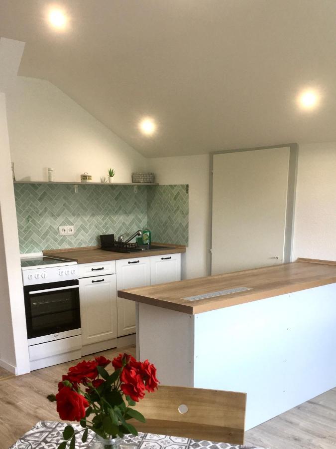 Apartament Swiss View Hohentengen am Hochrhein Zewnętrze zdjęcie