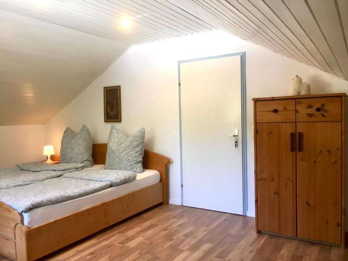 Apartament Swiss View Hohentengen am Hochrhein Zewnętrze zdjęcie