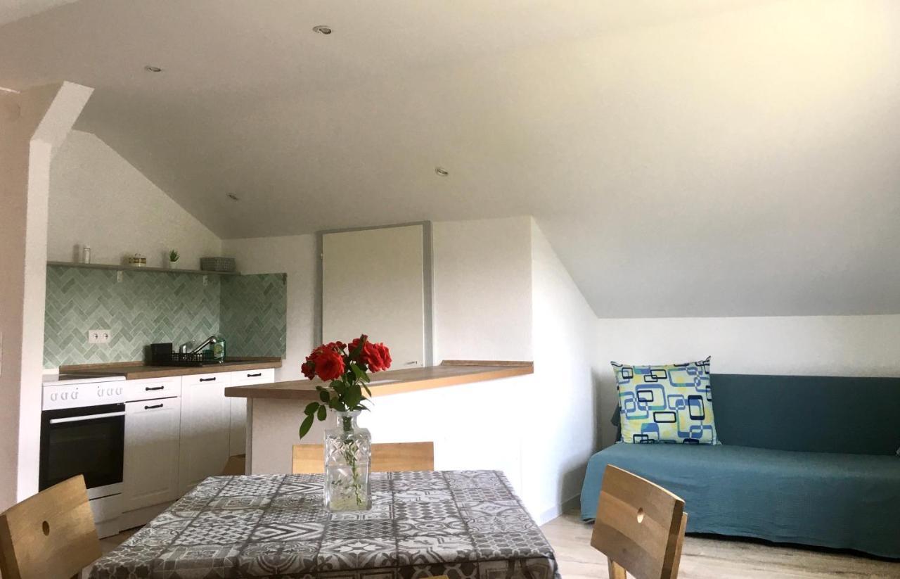 Apartament Swiss View Hohentengen am Hochrhein Zewnętrze zdjęcie