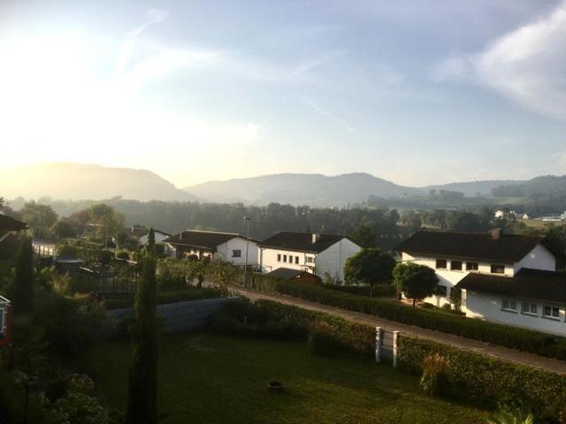 Apartament Swiss View Hohentengen am Hochrhein Zewnętrze zdjęcie