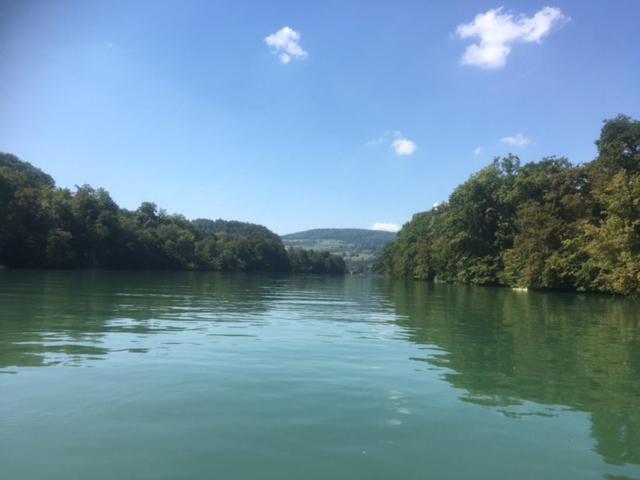 Apartament Swiss View Hohentengen am Hochrhein Zewnętrze zdjęcie